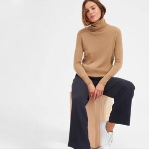 Everlane 100% Cashmere Turtleneck Sweater